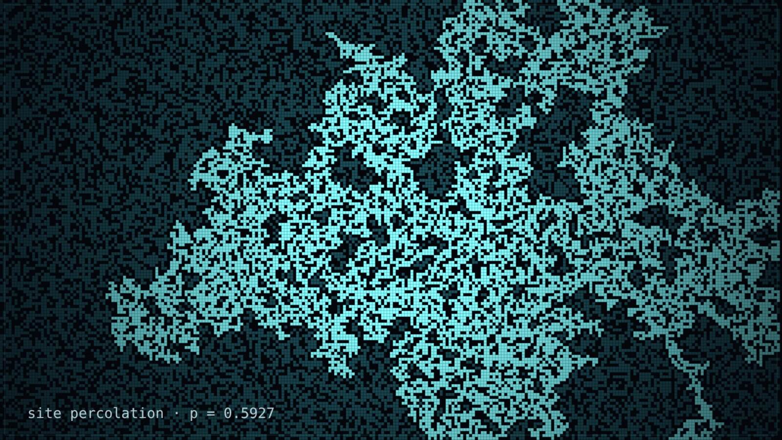 A wide dark field of tiny cells; a large branching cyan cluster with a fractal, hole-riddled structure fills the centre-left, surrounded by dim scattered smaller clusters, a single critical percolation configuration.